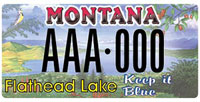 MT license plate #3